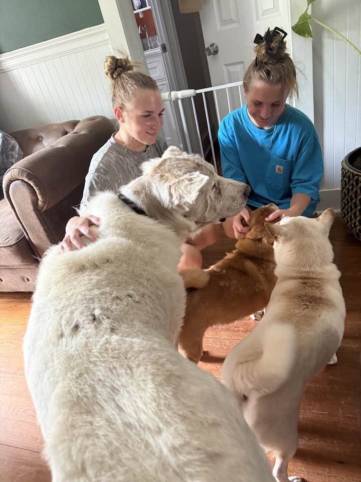 Volunteers spending time with animals at Harper Farm.